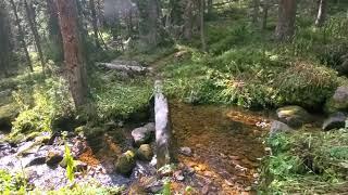 Hiking along the current Creek in Colorado