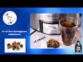 Comment Faire Une Infusion De Thé De Champignon CHAGA à La MIJOTEUSE Pour Un Maximum De BIENFAITS Comment Faire Une Infusion De Thé De Champignon CHAGA à La MIJOTEUSE Pour Un Maximum De BIENFAITS