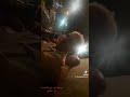 الشيخ الخلادي بمشاركة بوطيبة في حفلة فالسعيدية ركادة 
