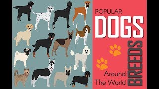 Dogs & Breeds, Best Dogs, Most Popular Dogs, A-Z Dog Breeds, Dog Gr...