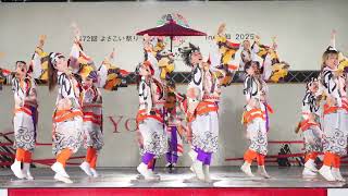 4K] 黒崎wavsav 高知よさこい祭り 2025 本番2日目 (中央) - YouTube