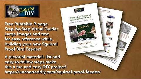 Free Download - Squirrel Proof Feeder Visual Guide: For Squirrel Proof Bird Feeder 6 Month Follow Up