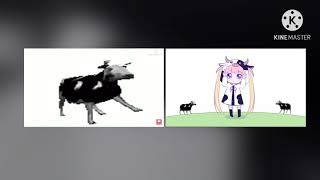 Polish cow and loli version, side by side comparison  (I was bored)