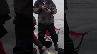 Livescope ice fishing whitefish - Less can be more! #shorts