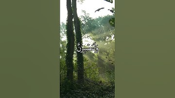 عندما يتجلى الخشوع بصوت المنشاوي.. سورة إبراهيم تلامس أعماق القلب 🌙✨"