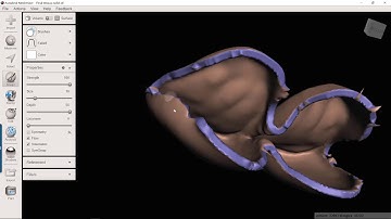 How to make shell temps in meshmixer