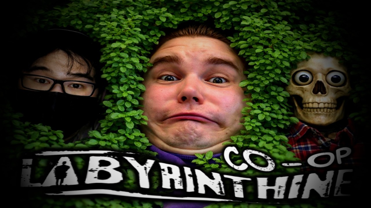 Три ИДi0ТА в кустах | Labyrinthine [CO-OP]