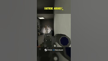 TAVR: Absolute Cinema