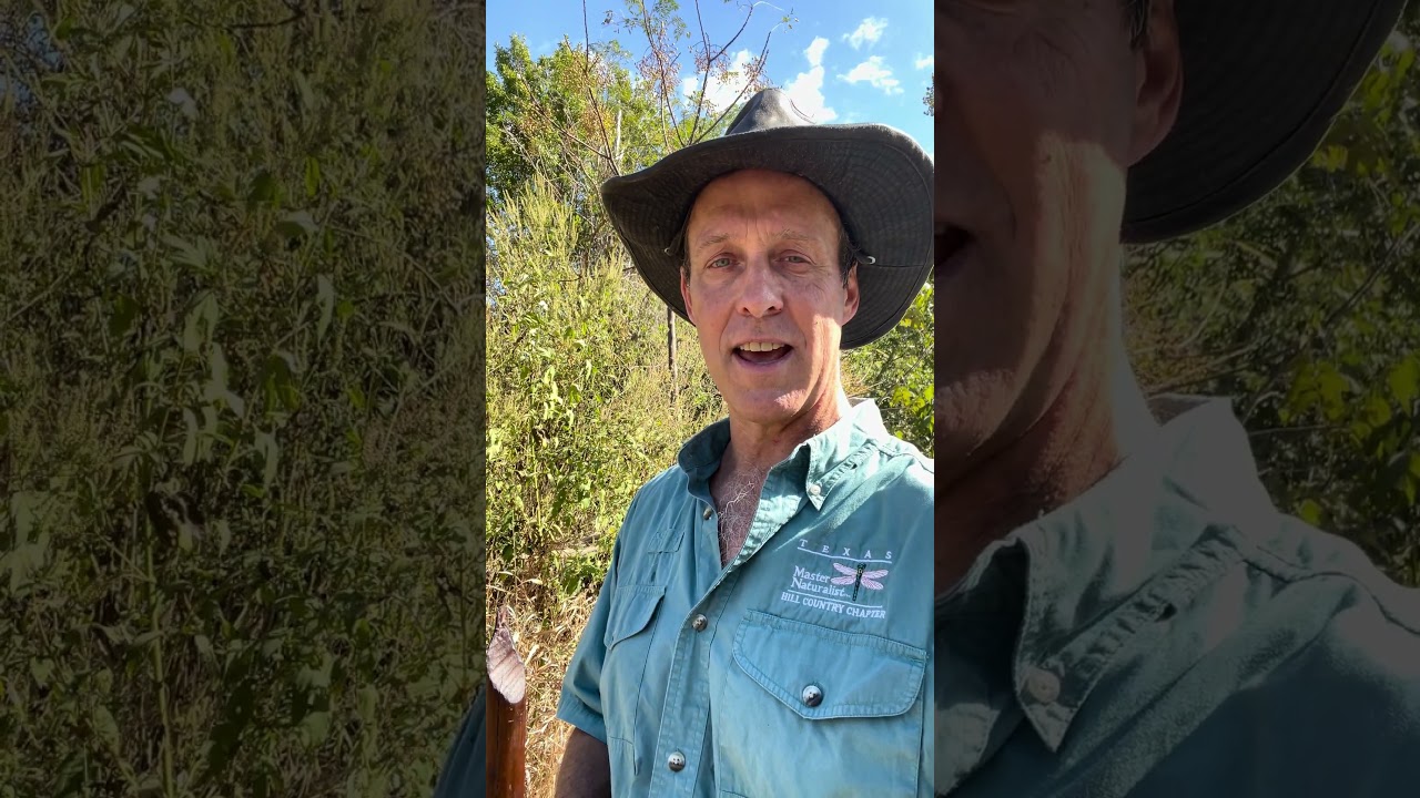 Make Your Own Beautiful Walking Stick