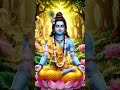 #radhekrishna rh