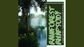 Rainforest Rhapsody