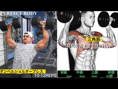 【筋トレ】肩を大きくする方法【ダンベル編】【6種目】