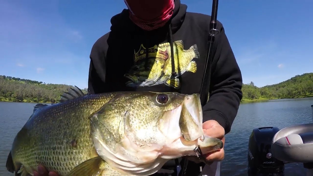 Giant Trout Swimbait Catches Monster Bass After Monster Bass! Defiant 247 Swimbait