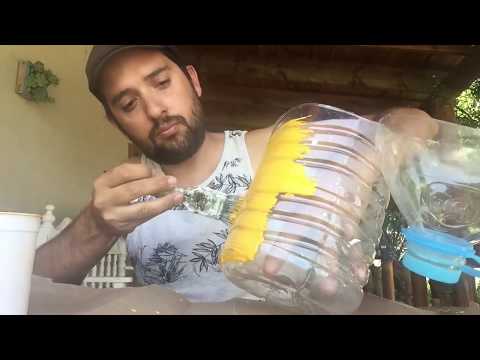 Como Sembrar En Botellas de Plástico 2023//huerto en casa//manos de tierra hqdefault