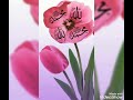 ذكر الله شفاء حالات ولا أجمل 