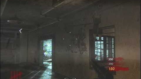 Glitch on New Nazi zombie map Verrückt, Asylum - JESUS GLITCH MAKES NEW WALL SPAWNS