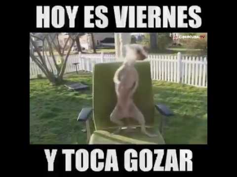 Hasta que se seque el malecón camera iphone 8 plus apk