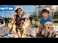 Deusa da guerra sai da prisão: filha abusada, filho no canil! Ela massacra os algozes! #cdrama