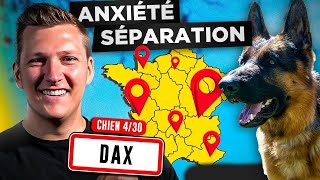 Anxiété de Séparation, Ne peut rester seul  Que Faire ? l  Jour 4 : Tour de France Educ Dog