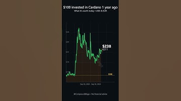 If you bought 100$ in CARDANO(ADA) one year ago! 📈🚀 #investing  #crypto #ticker #chart