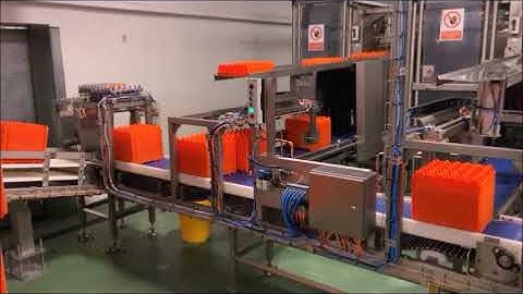 Triplelima automation solutions for farm, egg grading and egg breaking plants