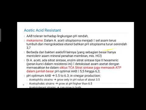 Video: Bagaimana asetat diproduksi?