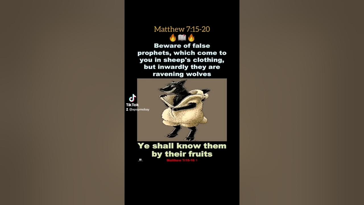 Matthew 7 20 By Their Fruits Ye Shall Know Them Tiktok matthew-7-20-by-their-fruits-ye-shall-know-them-tiktok