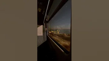 لينا شاماميان هنعيش ونشوف حالات واتس بدون موسيقى 