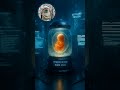 WORLD RECORD: Baby born from a 30-year-old frozen embryo! Formed through IVF in 1994, born in 2024.