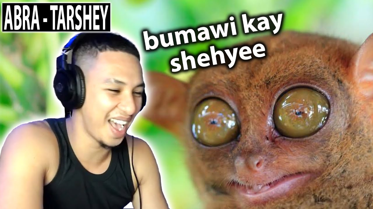 𝐙𝐚𝐤𝐢 𝐑𝐞𝐚𝐜𝐭𝐬 - TARSHEY by ABRA