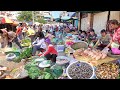 Cambodian Market Food In Phnom Penh City Compilation - Fresh Food & Lifestyle @ The Market