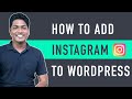 How to Add Instagram Feed on Your WordPress Website