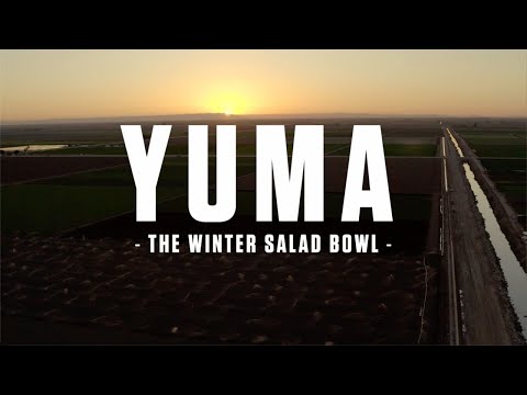 Yuma's agricultural industry recently put together a webpage and video to illustrate what could happen if the Yuma area does not get its water allocations from the Colorado River.