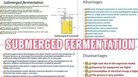 Submerged Fermentation ||Advantages, Disadvantages 😎😎