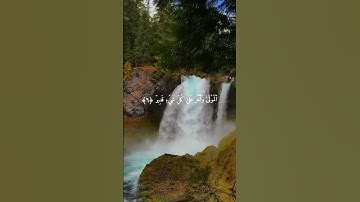 وَتَرَى الأَرْضَ هَامِدَةً فَإِذَا أَنزَلْنَا عَلَيْهَا الْمَاءَ اهْتَزَّتْ وَرَبَتْ - سورة الحج