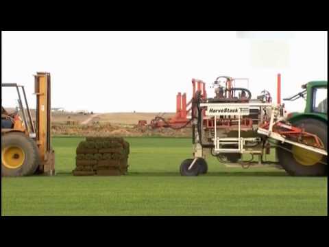Рулонный газон (Как это работает)