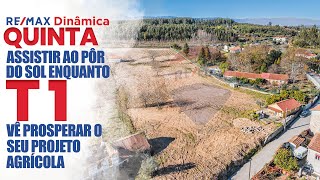 Quinta - Vila Nova Tonda, Tondela