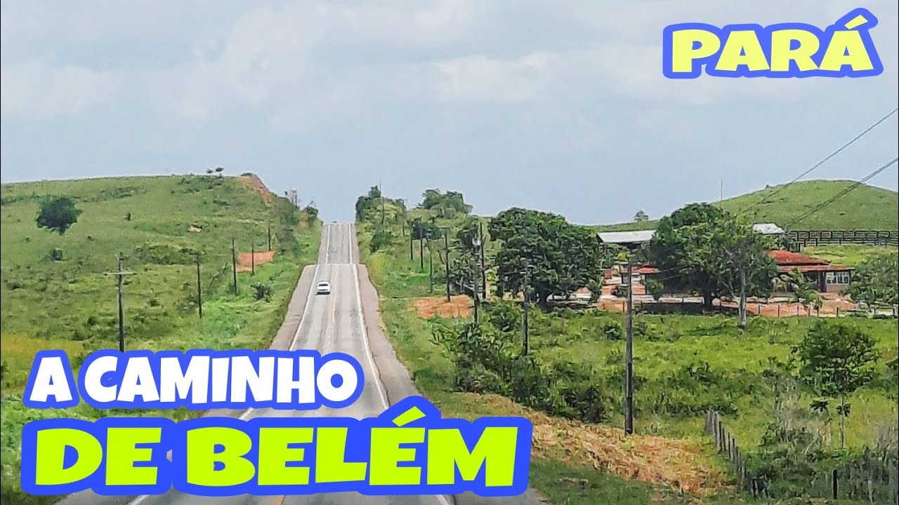 BR-316 | Paisagens e costumes diferentes a caminho de BELÉM DO PARÁ 🇧🇷