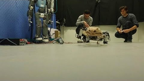 German researchers make robot to simulate pre-historic creature