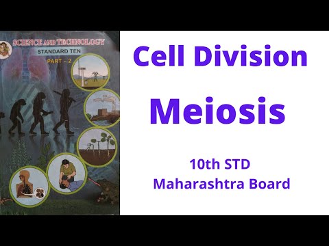 Meiosis 10th std Maharashtra Board Semi English | Cell division type Meiosis in marathi 10th std.