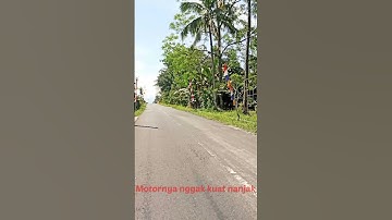 Wisata Merapi di Sleman Yogyakarta,Jalan menuju Kopi Merapi #shorts