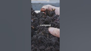 6 Tips to Kickstart Your Compost Pile