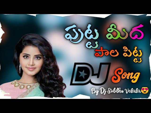 Putta Meedha Pala Pitta Dj Song ||Putta Meedha Pala Pitta New Flok Song || Telugu Flok Dj Songs class=