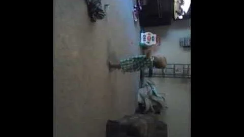 Alex walking