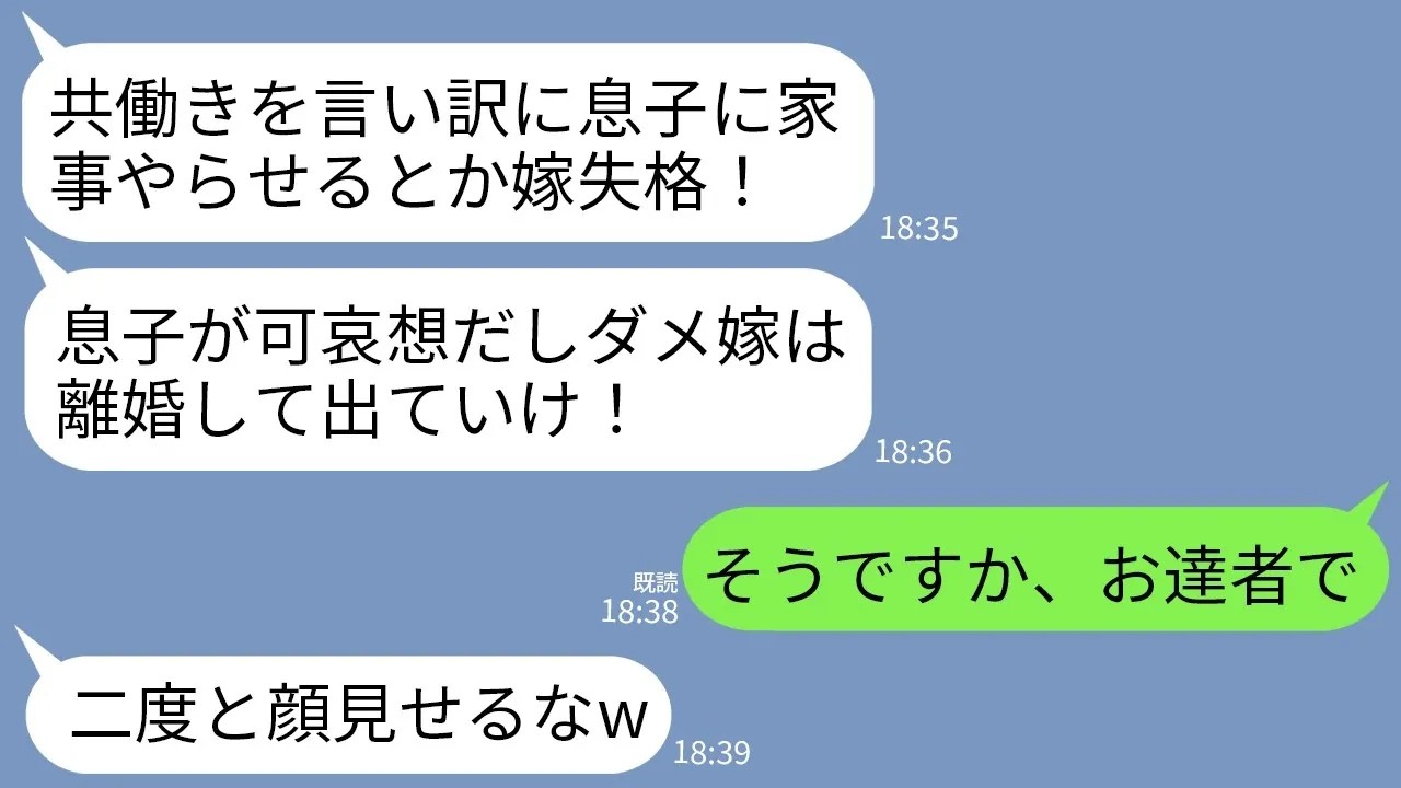 【LINE】共働きに理解を示さず夫に家事をさせただけでブチ切れて離婚させる姑「旦那様にご飯作らせるなんて嫁失格！」→お望み通りに離婚したら義母が大後悔することにwww