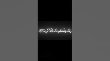 #محمد_اللحيدان #سورة_النساء