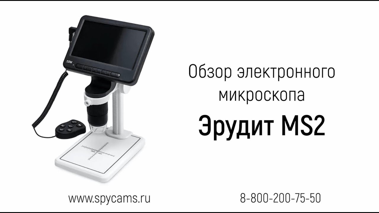 Www Spycams Com