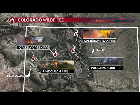 Several wildfires burning