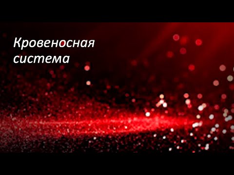 Кровеносная система (введение)