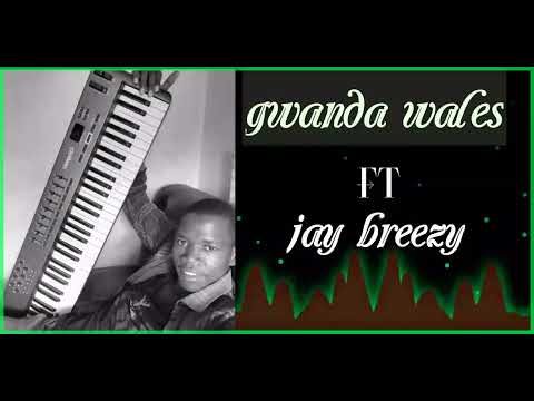 Gwanda Wales Ft Jay Breezy Song Penzi Chombo Cha Usafiri Audio